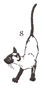 cat stamp 8