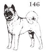 dog stamp 146