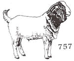 ranch and farm animal stamp 757