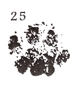 paw stamp 25