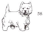 dog stamp 58
