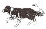 dog stamp 469