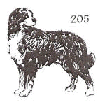 dog stamp 205