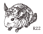 unusual animal stamp R22
