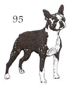 dog stamp 95